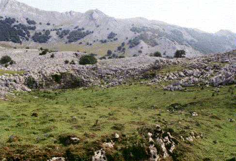 Urbia