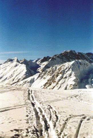 tracks