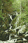Shenandoah